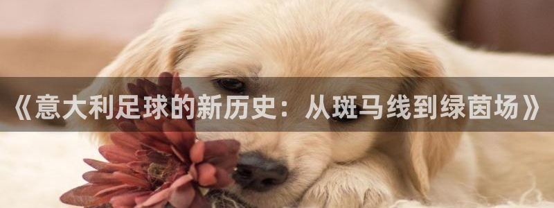 蜘蛛体育直播免费高清在线观看：《意大利足球的新历史：从斑马线到绿茵场》