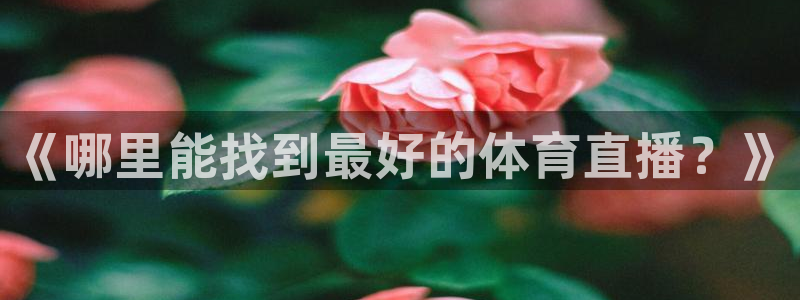 蜘蛛直播体育：《哪里能找到最好的体育直播？》