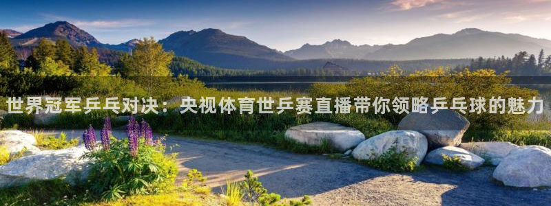 蜘蛛体育免费直播nba：世界冠军乒乓对决：央视体育世乒赛直播带你领略乒乓球的魅力
