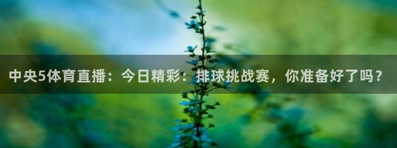 蜘蛛直播体育篮球：中央5体育直播：今日精彩：排球挑战赛，你准备好了吗？