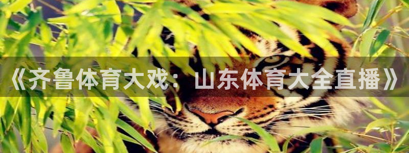 蜘蛛体育直播app下载官网：《齐鲁体育大戏：山东体育大全直播》