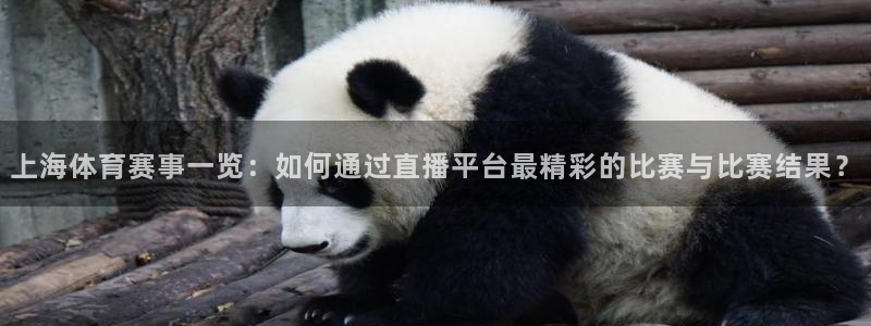 蜘蛛体育免费直播在线观看：上海体育赛事一览：如何通过直播平台最精彩的比赛与比赛结果？