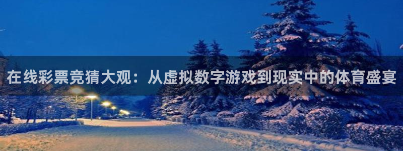 蜘蛛体育小狐狸：在线彩票竞猜大观：从虚拟数字游戏到现实中的体育盛宴
