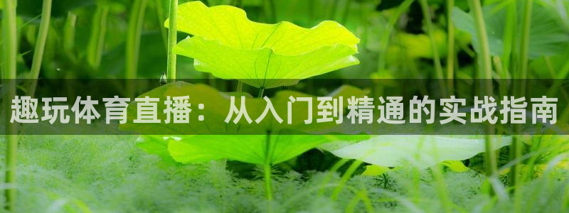 nba直播蜘蛛：趣玩体育直播：从入门到精通的实战指南