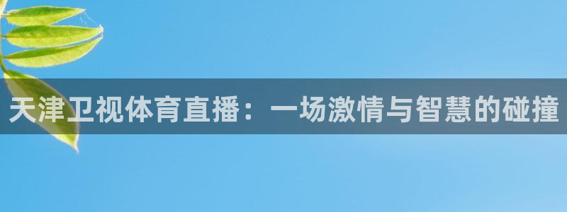 蜘蛛直播体育免费：天津卫视体育直播：一场激情与智慧的碰撞