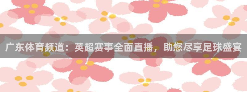 jrs蜘蛛直播球帝带：广东体育频道：英超赛事全面直播，助您尽享足球盛宴