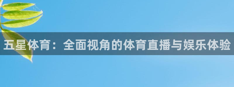 蜘蛛nba：五星体育：全面视角的体育直播与娱乐体验