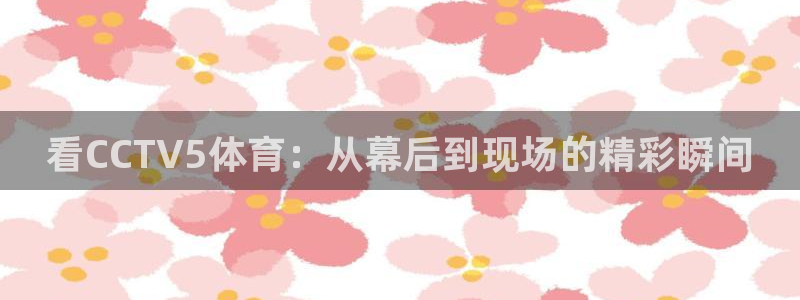 蜘蛛篮球：看CCTV5体育：从幕后到现场的精彩瞬间