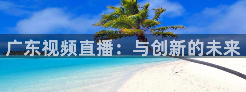 蜘蛛直播nba在线观看