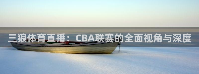 蜘蛛足球：三狼体育直播：CBA联赛的全面视角与深度