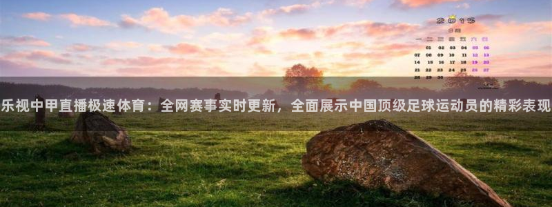 nba蜘蛛免费直播：乐视中甲直播极速体育：全网赛事实时更新，全面展示中国顶级足球运动员的精彩表现